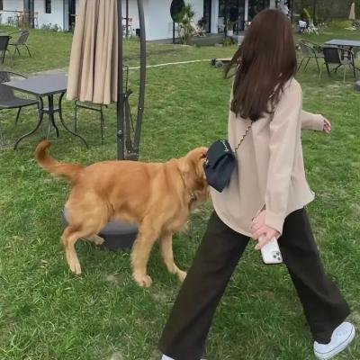 我的兄弟不可能这么萌